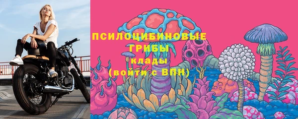 молекула духа Верея